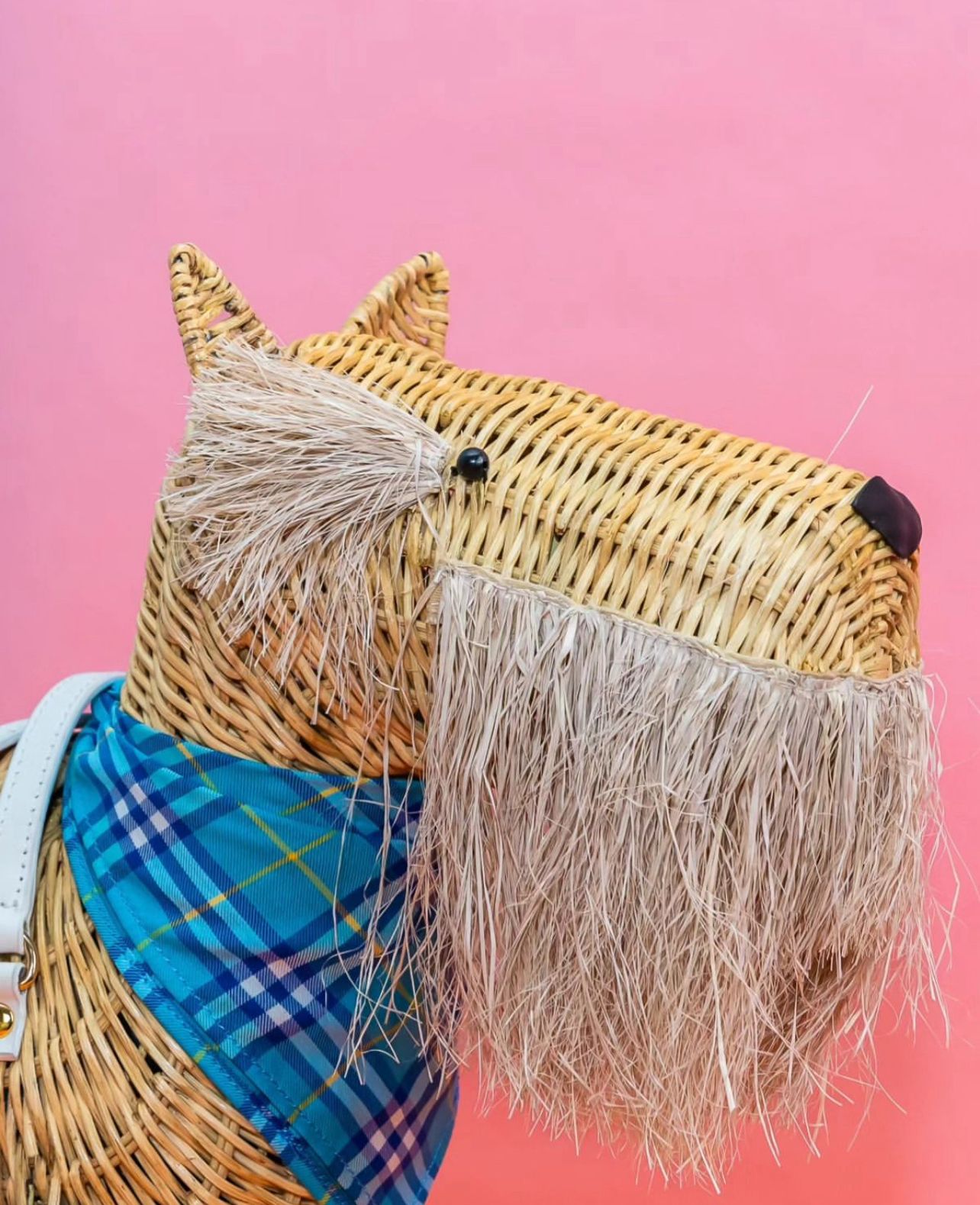 Wicker Darling Terrier Bag