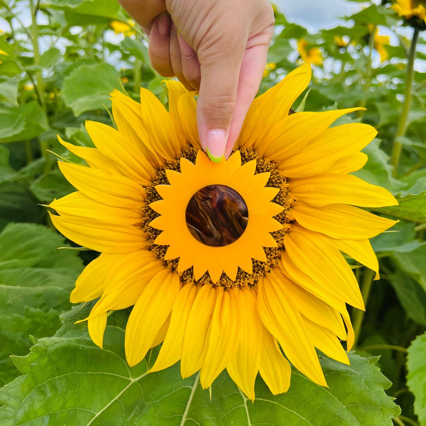 Sunflower Brooch